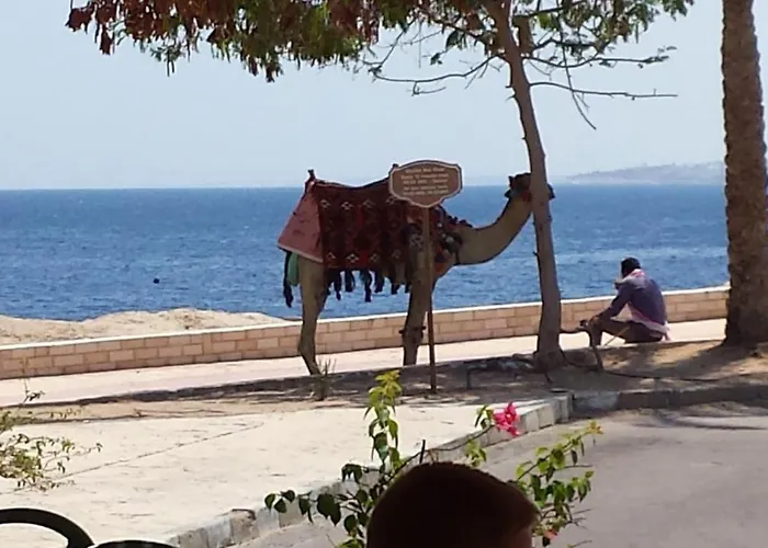 Side-villa Sharm-family Vacation Sleeps 10
