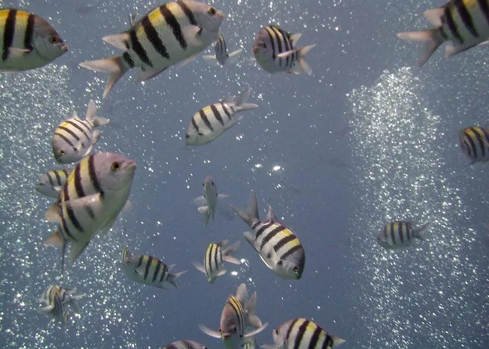 Villa Side-villa Sharm-family Vacation Sleeps 10 Şarm El-Şeyh