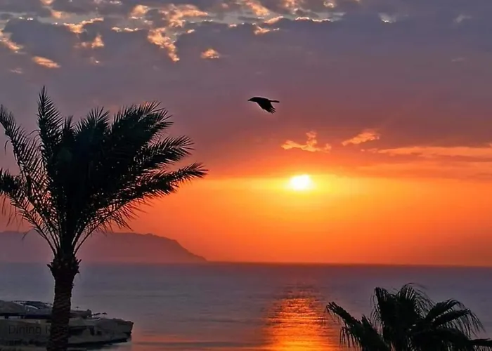 Side-villa Sharm-family Vacation Sleeps 10